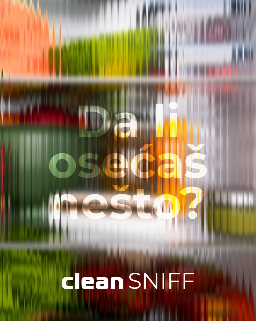 clean sniff prt 1