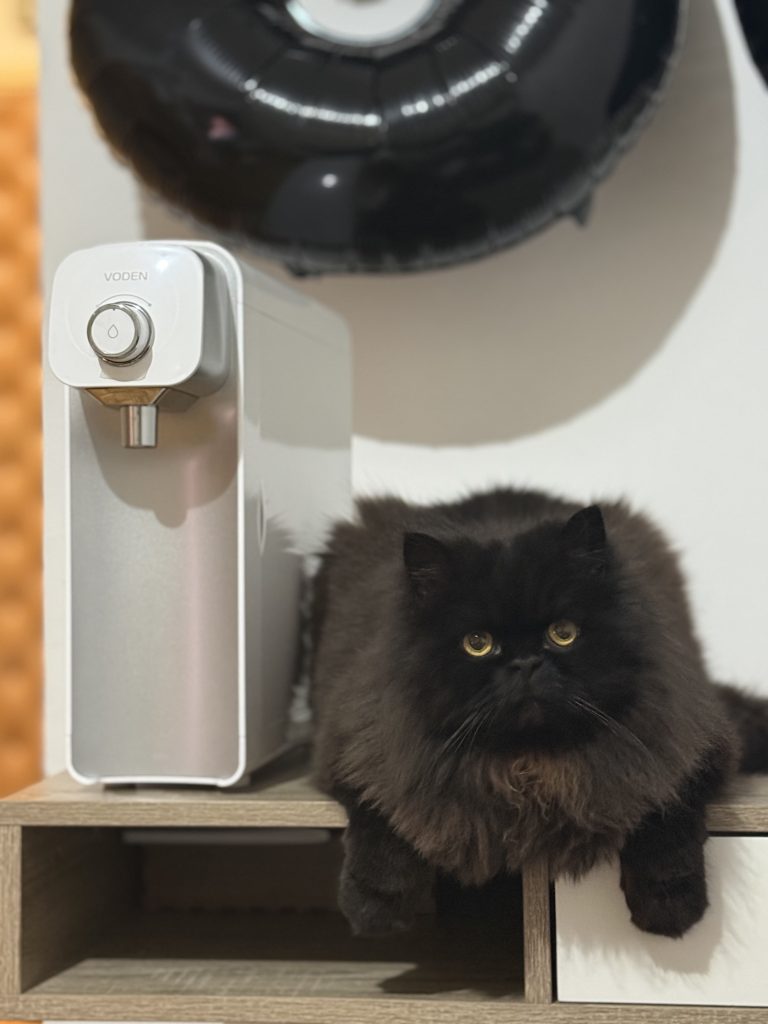 Image #1 from Jelena